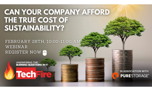 With IT purchasing decisions, Sustainability takes Second Place to the Bottom Line